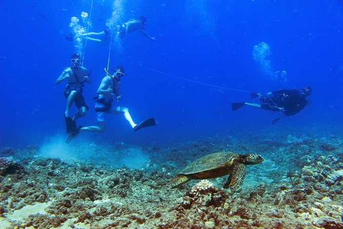 Ko Olina Catamaran Sail and Snorkel with Lunch - Who this is best for (and who might want to adjust expectations)