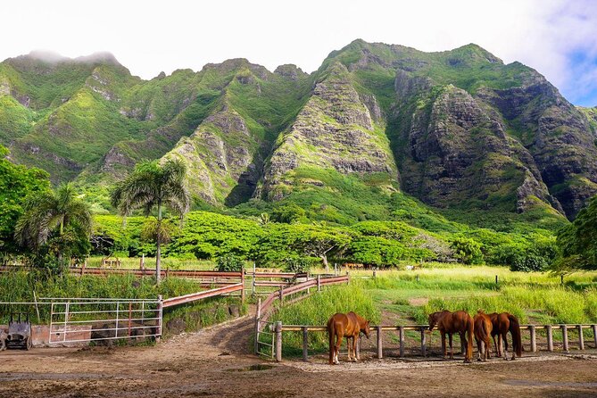 Kualoa Ranch: Jungle Expedition Tour - Key takeaways before you go