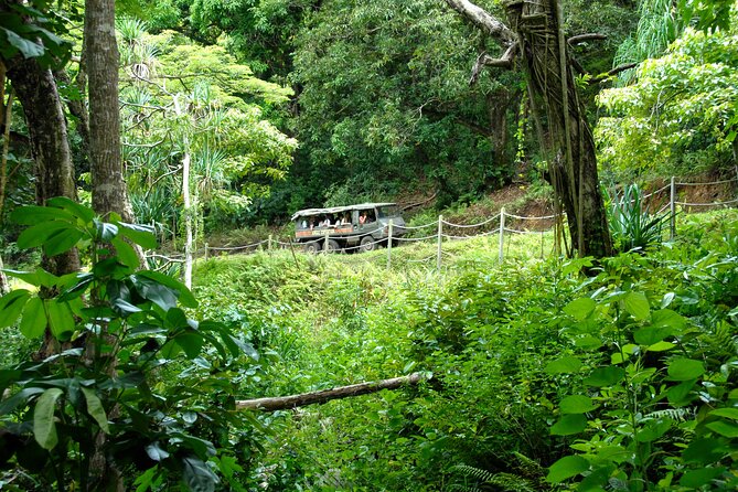 Kualoa Ranch: Jungle Expedition Tour - Off-road thrills on Kualoa’s 6-wheel-drive Pinzgauer