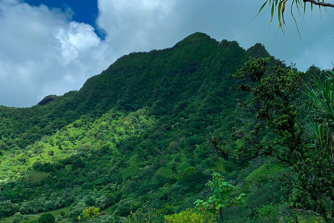 Kualoa Ranch: Jungle Expedition Tour - Photo ops over Kaneohe Bay: when to expect the best shots