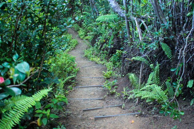 Kualoa Ranch: Jungle Expedition Tour - Cost and value: does $67.24 feel fair for 1.5 hours?