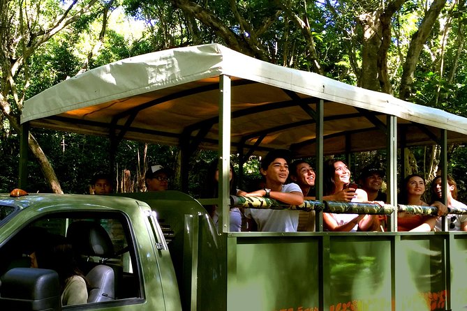 Kualoa Ranch: Jungle Expedition Tour - Stop-by-stop: what you’ll do at Kualoa and why it matters