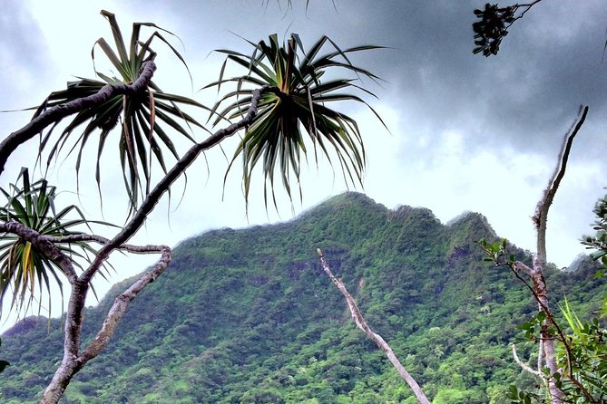 Kualoa Ranch: Novice E-Bike - Guides Make the Tour: When the Group Stays Relaxed