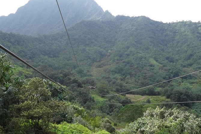 Kualoa Ranch - Zipline Tour - The Short Hikes and the Native Plant Lesson You Actually Remember