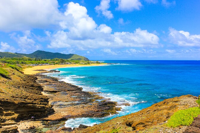 Local Expert Private Tours - Manoa Falls, Halona Blowhole, and the Makapu’u Lighthouse Trail