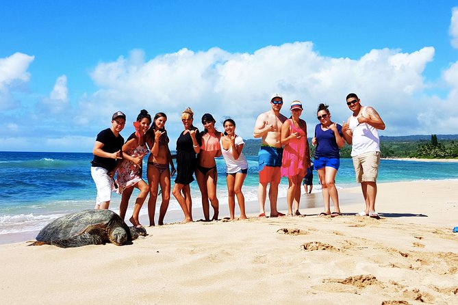 Local Expert Private Tours - Getting started in Honolulu: pickup, a mobile ticket, and one vehicle