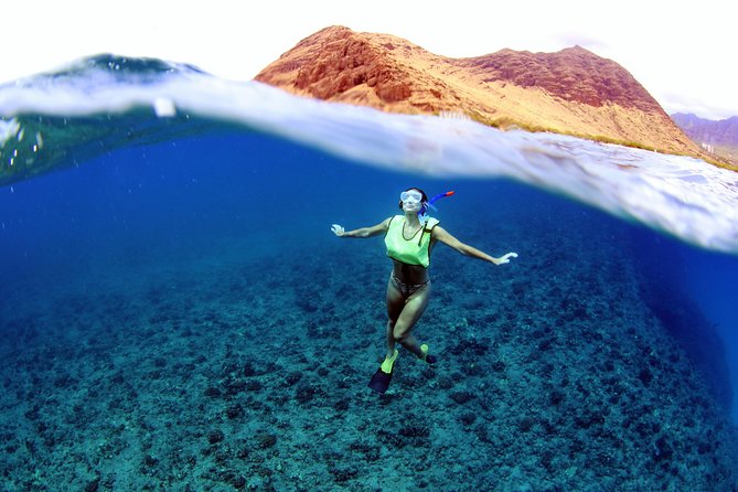 Luxury Snorkel Cruise, Local Buffet with Whale & Dolphin Watch - Getting There: Waikiki Hotel Pickup That Actually Saves Time