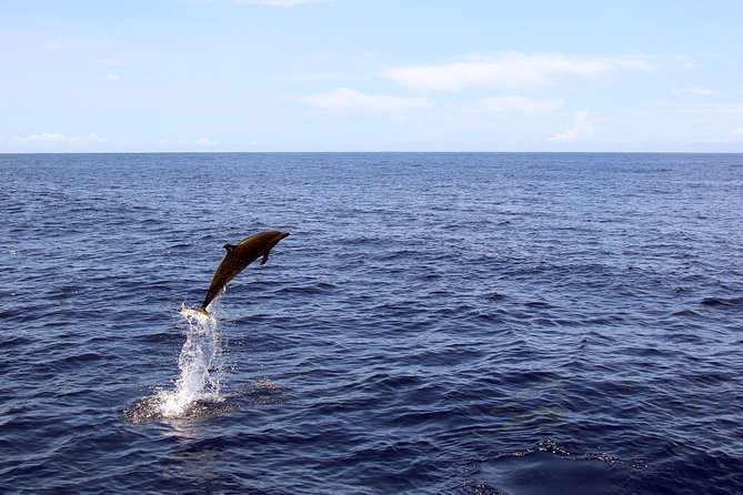 Luxury Snorkel Cruise, Local Buffet with Whale & Dolphin Watch - Onboard Lunch: Hawaiian Buffet With Alcohol and Non-Alcoholic Drinks
