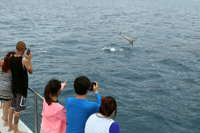 Luxury Snorkel Cruise, Local Buffet with Whale & Dolphin Watch - Price and Value: Is $174 Worth It in the Real World?
