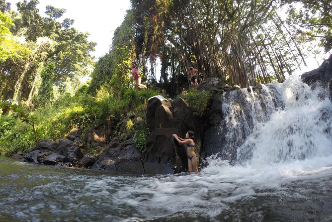 Mahina Hawaii Full Day Adventure - Price and Logistics: Where the Value Comes From