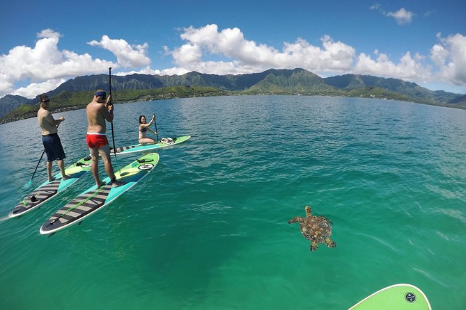 Mahina Hawaii Full Day Adventure - Morning Start: Trails, Caves, and a Quick Waterfall Reset