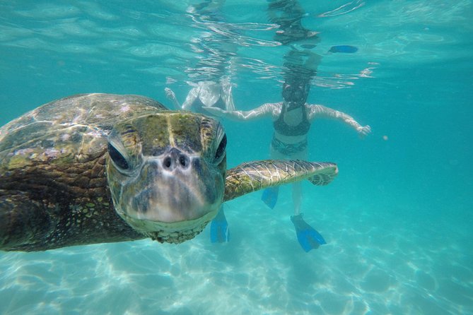 Mahina Hawaii Full Day Adventure - How Custom Routing Really Helps (Not Just a Marketing Line)
