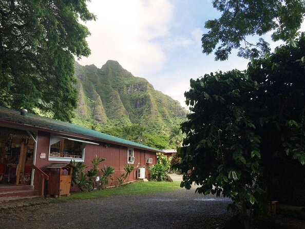 Majestic Circle Island Tour with Lunch - Byodo-In Temple Hawaii: Buddhist architecture with Koʻolau views