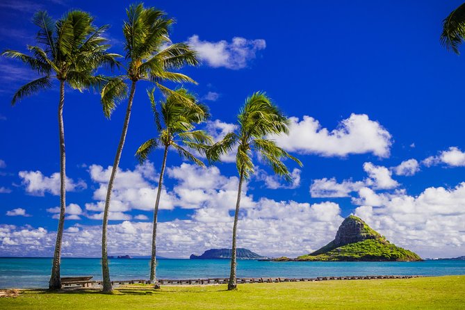 Majestic Circle Island Tour with Lunch - Dole Plantation and Haleiwa-style north-shore vibes: where you should expect extra spending