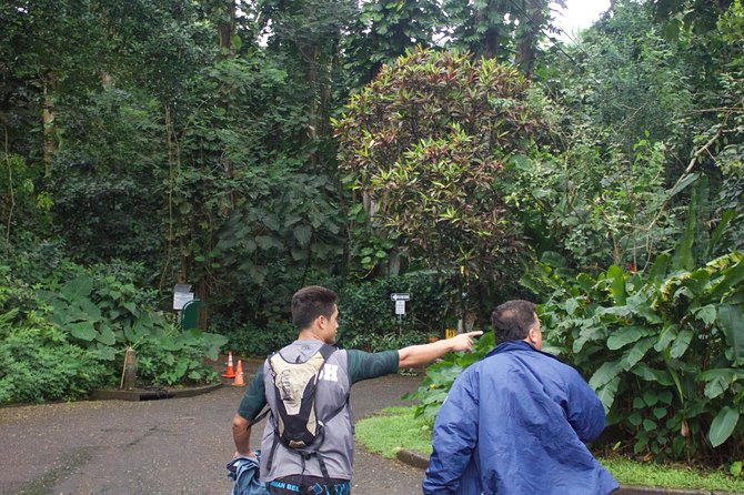 Manoa Falls Rainforest & Self-Guided Hike - Shuttle to the Trailhead: How This Experience Actually Works