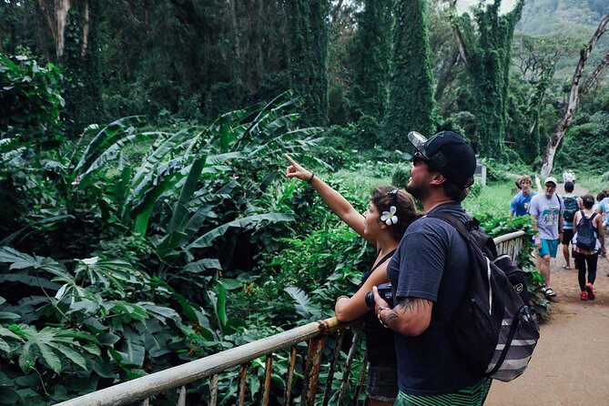Manoa Waterfall Hike with Waikiki Pickup & Healthy Lunch - Tantalus Lookout Lunch at Andy’s Sandwiches