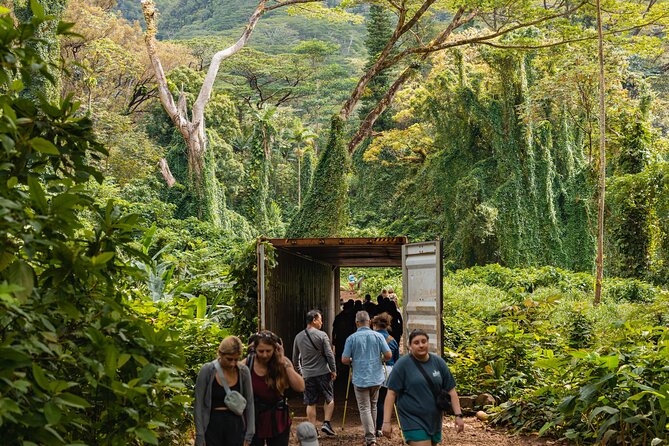 Manoa Waterfall Hike with Waikiki Pickup & Healthy Lunch - How Hard Is This Hike? Shoes, Slips, and Smart Pace