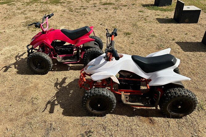 Mini ATVs and Farm Animal Experience - Key highlights worth planning around