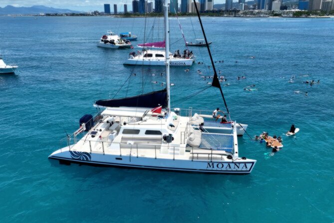 Moana’s Waikīkī Grand Guided Turtle Snorkel & Sailing Adventure - Arriving at Kewalo Basin Harbor without stress