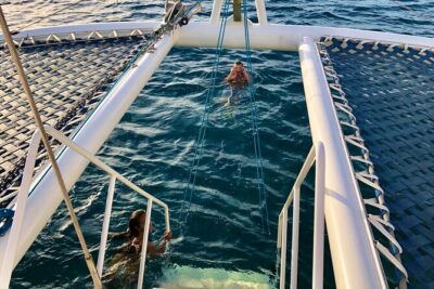 Moana’s Waikīkī Grand Guided Turtle Snorkel & Sailing Adventure - Snorkeling setup that works for kids and cautious first-timers