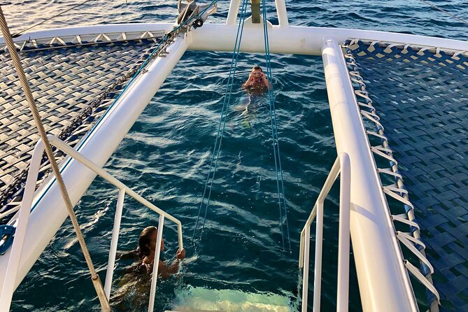 Moana’s Waikīkī Grand Guided Turtle Snorkel & Sailing Adventure - Snorkeling setup that works for kids and cautious first-timers