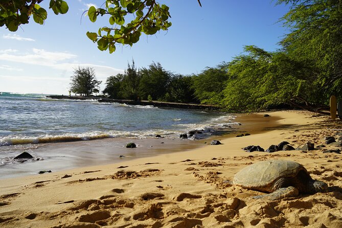 North Shore Surfing Lessons Oahu Hawaii - Who This Is For (and Who Might Want a Different Plan)