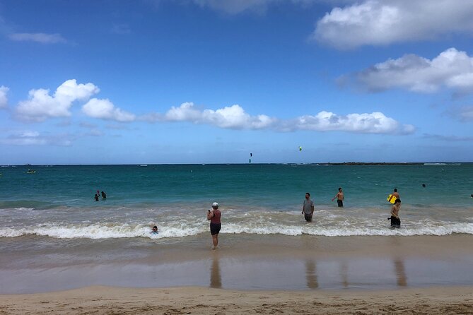 North Shore / Waimea, Falls Day & Swim with Turtles - The North Shore, Packed Into One Calm, Coached Day