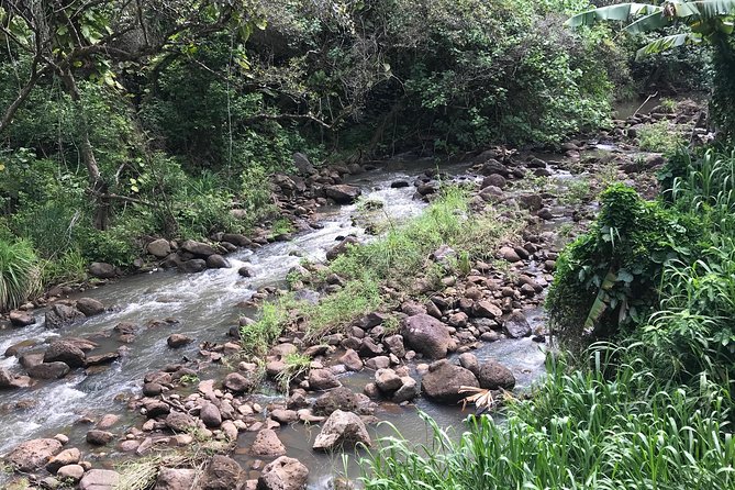 North Shore / Waimea, Falls Day & Swim with Turtles - The “Local Flavors” Stops: Macadamias, Coffee, Chocolate, and Real Shops
