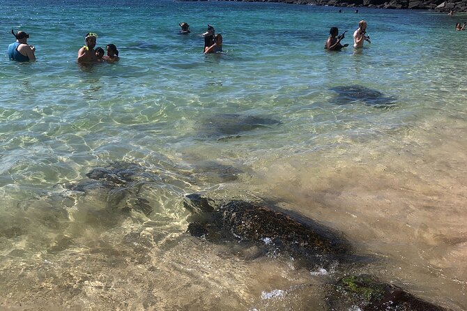 North Shore / Waimea, Falls Day & Swim with Turtles - Lunch at Jenny’s Shrimp Truck: Where the Day Feels Like Vacation