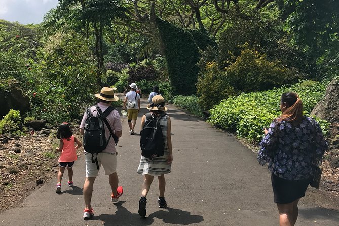North Shore / Waimea, Falls Day & Swim with Turtles - Pickup in Honolulu: Easy Start, Less Friction