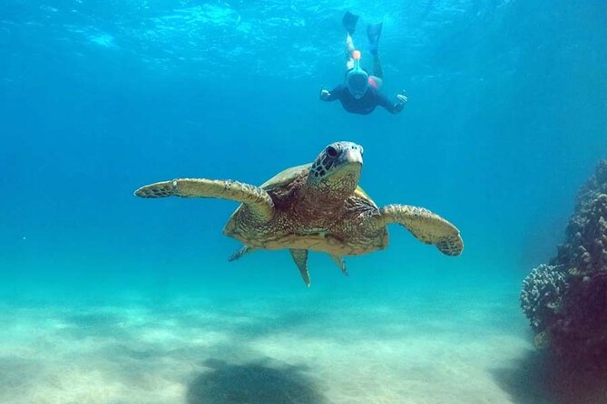 Oahu 5-in-1 Deluxe Cruise: Turtle Snorkeling & Ocean Activities - Snacking, soft drinks, and the onboard comfort factor