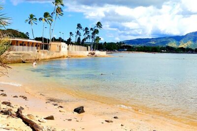 Oahu: All Day Circle Island Tour with Snorkeling - Diamond Head to Halona Blowhole: coastal hits with minimal walking