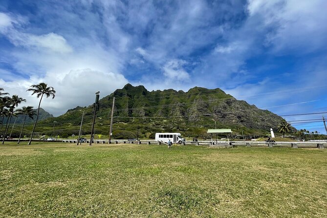 Oahu Allstar Circle Island Tour: Dole, Turtles, Blowhole, Fun - Why this Circle Island day tour makes sense for first-timers