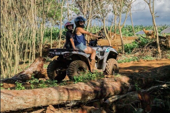Oahu Beachfront ATV Adventure and Farm Tour - Small Group Size and Prompt Departures