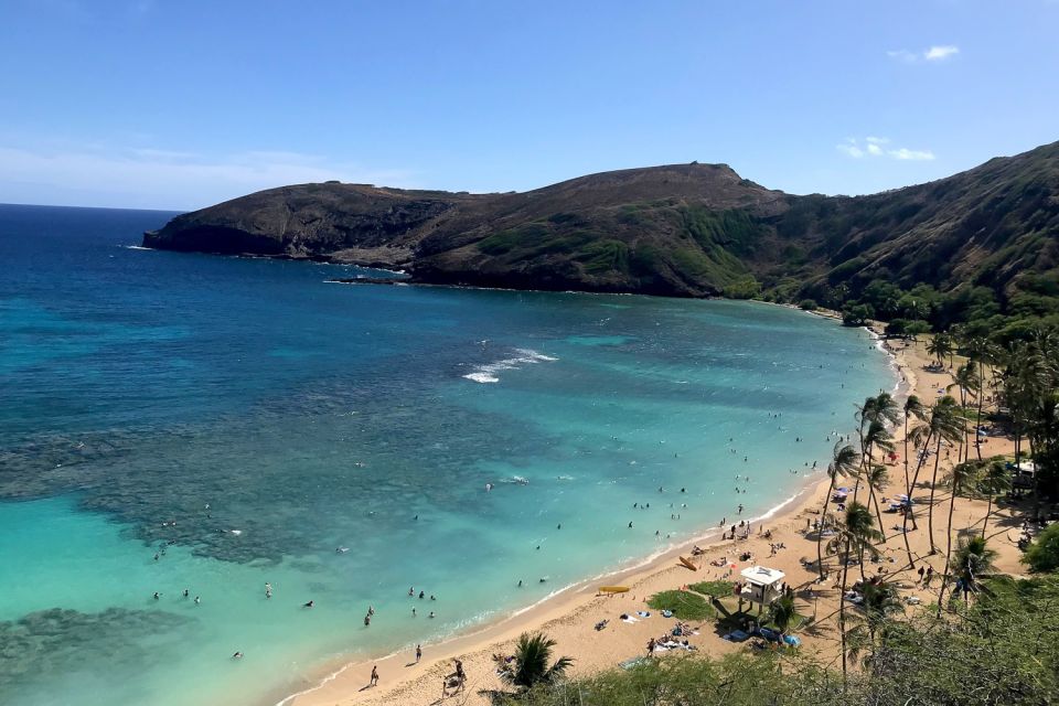Oahu: Beauty and the Feast Circle Island Experience - Tropical Farms macadamias and a fruit-stand taste break