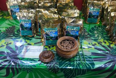 Oahu: Beauty and the Feast Circle Island Experience - Halona to Hanauma to Nuuanu Pali: quick stops with big viewpoint energy