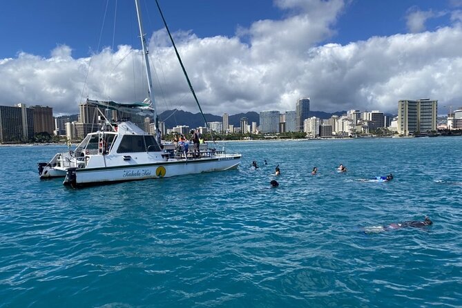 Oahu Catamaran Snorkel Tour: See Turtles 100% Guaranteed - Why This Turtle-Focused Catamaran Tour Feels Less Like a Production Line