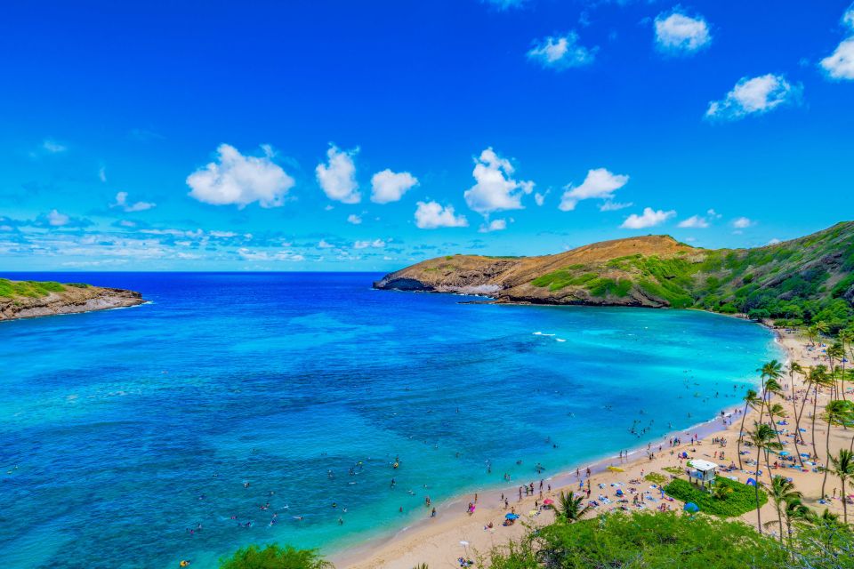 Oahu: Circle Island Top Sights Full-Day Tour w/ Local Guide - Waikiki to Diamond Head and the South Shore Cliffs