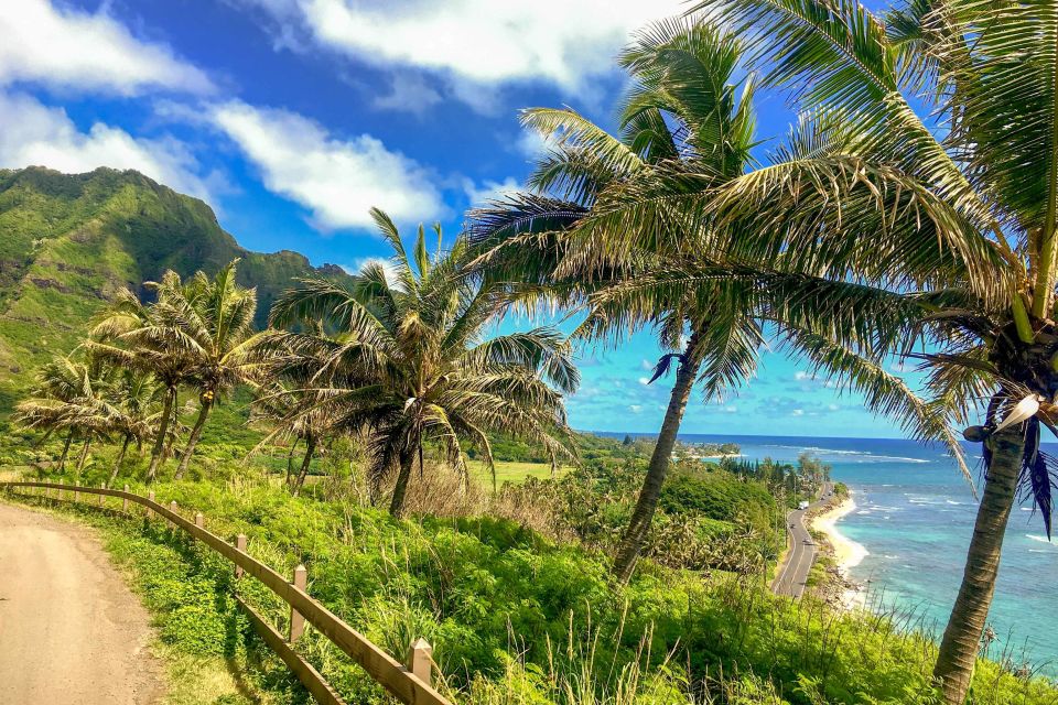 Oahu: Circle Island Top Sights Full-Day Tour w/ Local Guide - Waimea Valley Waterfall Walk and When to Bring Swimwear