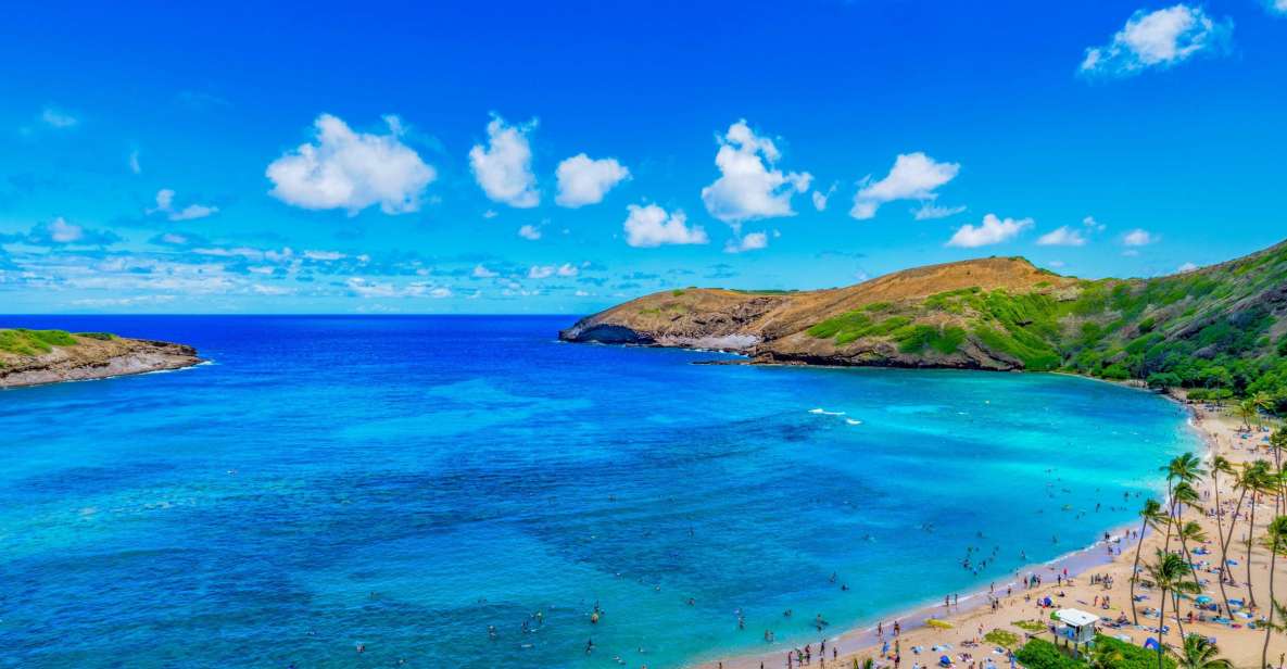 Oahu: Circle Island Top Sights Full-Day Tour w/ Local Guide - Pickup, Comfort, and the Value of Not Driving
