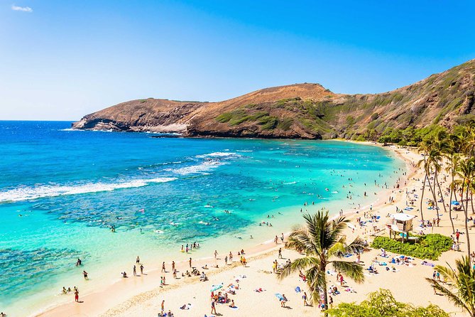 Oahu Circle Island Tour - Why This Oahu Circle Island Tour Works (Even If You Hate Driving)