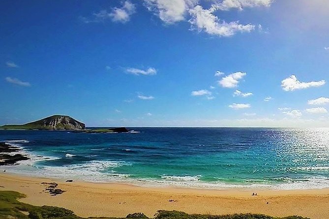 Oahu Circle Island Tour with Turtle Snorkeling— Small-Groups - Tsue Farm Lunch and the Taro Patch Lesson That Adds Meaning