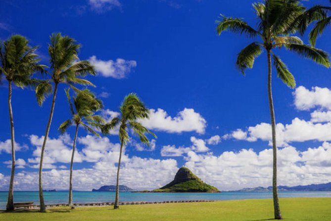 Oahu Circle Island Tour with Waimea Waterfall - Tastings at the Macadamia Nut Farm Outlet: small break, big flavor payoff