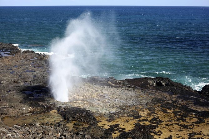 Oahu Circle Island Tour with Waimea Waterfall - North Shore fruit stand energy: eat, sip, and watch the waves