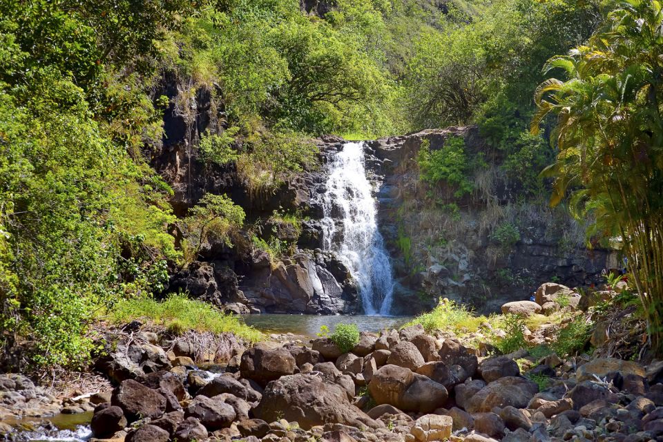 Oahu: Complete Island Tour with Tropical Waterfall Swimming - Waimea Valley and Waimea Falls: the hike and swim you’ll actually remember