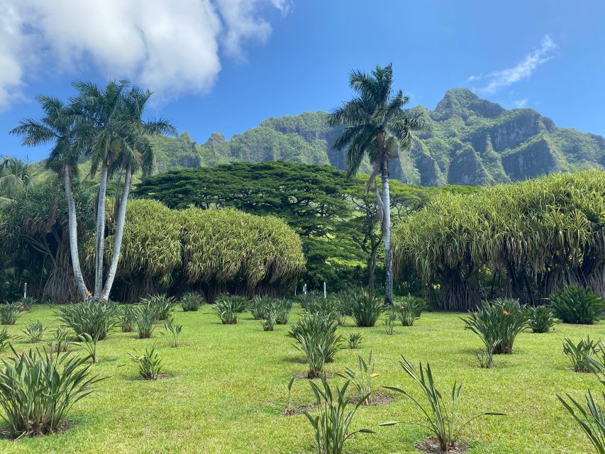 Oahu: Diamond Head Crater Hike and North Shore Experience - Kahuku Sugar Mill food trucks: where lunch actually becomes the highlight
