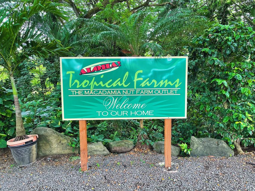 Oahu: Diamond Head Crater Hike and North Shore Experience - Price and Logistics: what $125 buys you (and what it doesn’t)