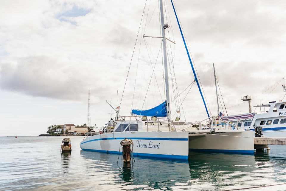Oahu: Diamond Head Cruise with Drinks & Appetizers - Diamond Head and Waikiki from the water: why the views feel different