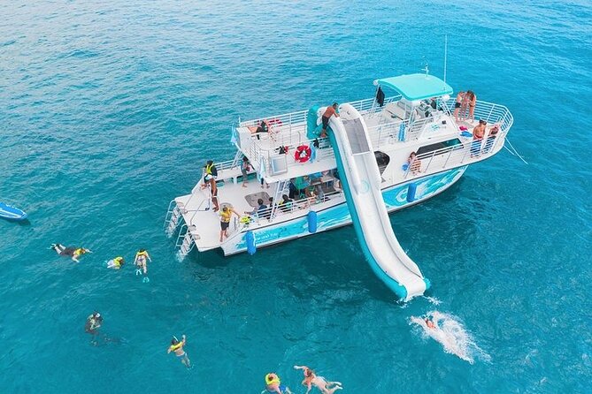 Oahu Dolphin and Snorkel Tour with Waikiki Pickup & Lunch - Key points before you go