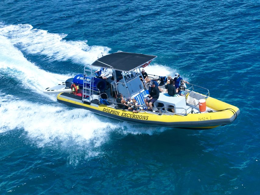 Oahu: Dolphin Swim and Turtle Snorkel Excursion in Waianae - Boat cruise search: dolphins first, whales when the season cooperates
